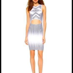 Torn by Ronny Kobo Yonal Cutout dress S small